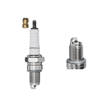 Nikel Spark Plug Cr6hsa 2983