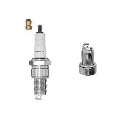 Plug Platinum Spark BPR6EP -8 4542